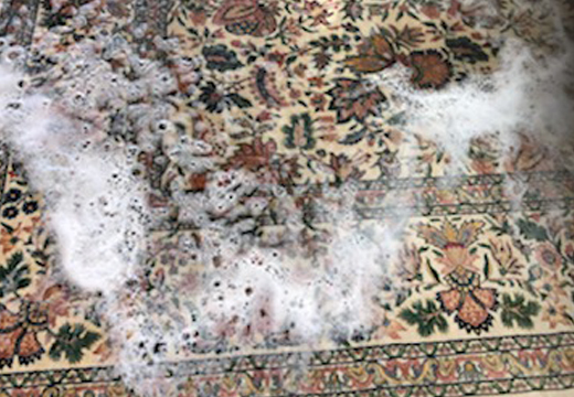 Area Rug Cleaning Palm Beach